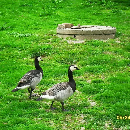 Pokoje Goscinne Ostoja Hotel *