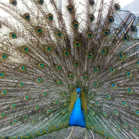 Hotel Pokoje Goscinne Ostoja