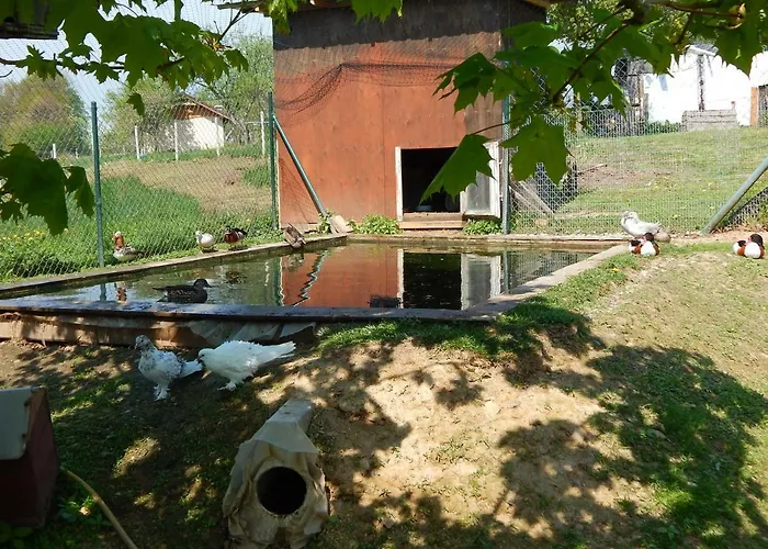 فندق Pokoje Goscinne Ostoja Mirsk