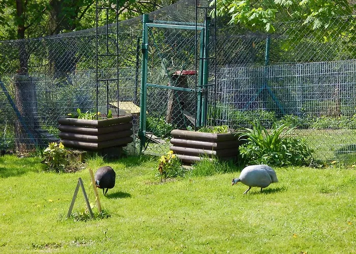 Pokoje Goscinne Ostoja