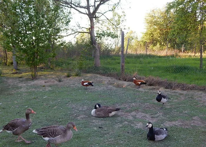 Pokoje Goscinne Ostoja Mirsk