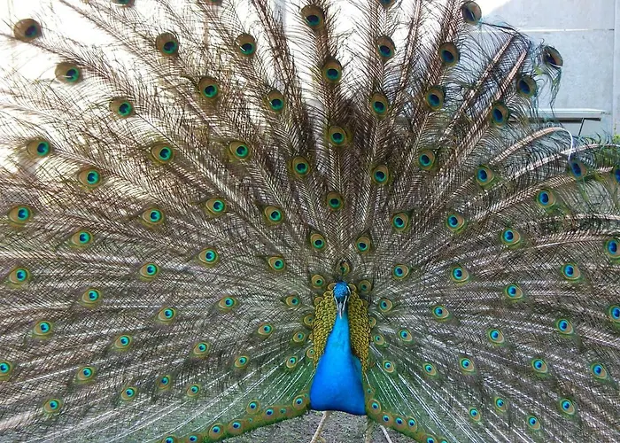 فندق Pokoje Goscinne Ostoja