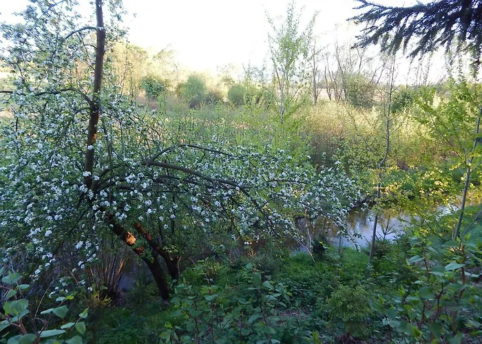 Pokoje Goscinne Ostoja فندق